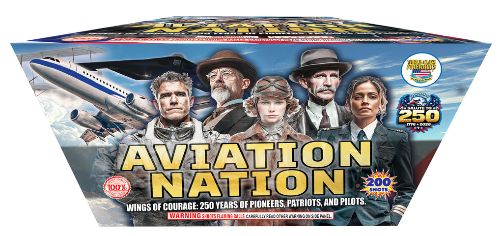 aviation nation